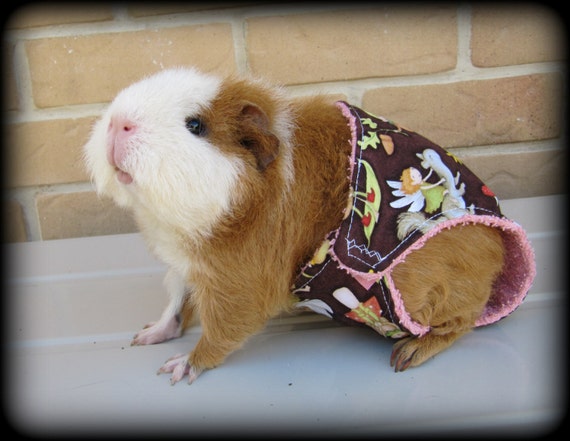 Items similar to Piggy Pantie - cute handmade Guinea Pig Cavy Cloth