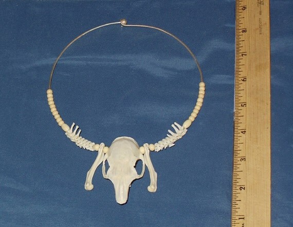 Real Squirrel Skull And Spine Bones Taxidermy Necklace