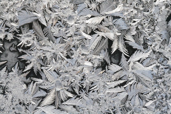 on a winter window 7 - 5x7 frost patterns winter frozen art ice natural macro fine art photo - sand and petals photography