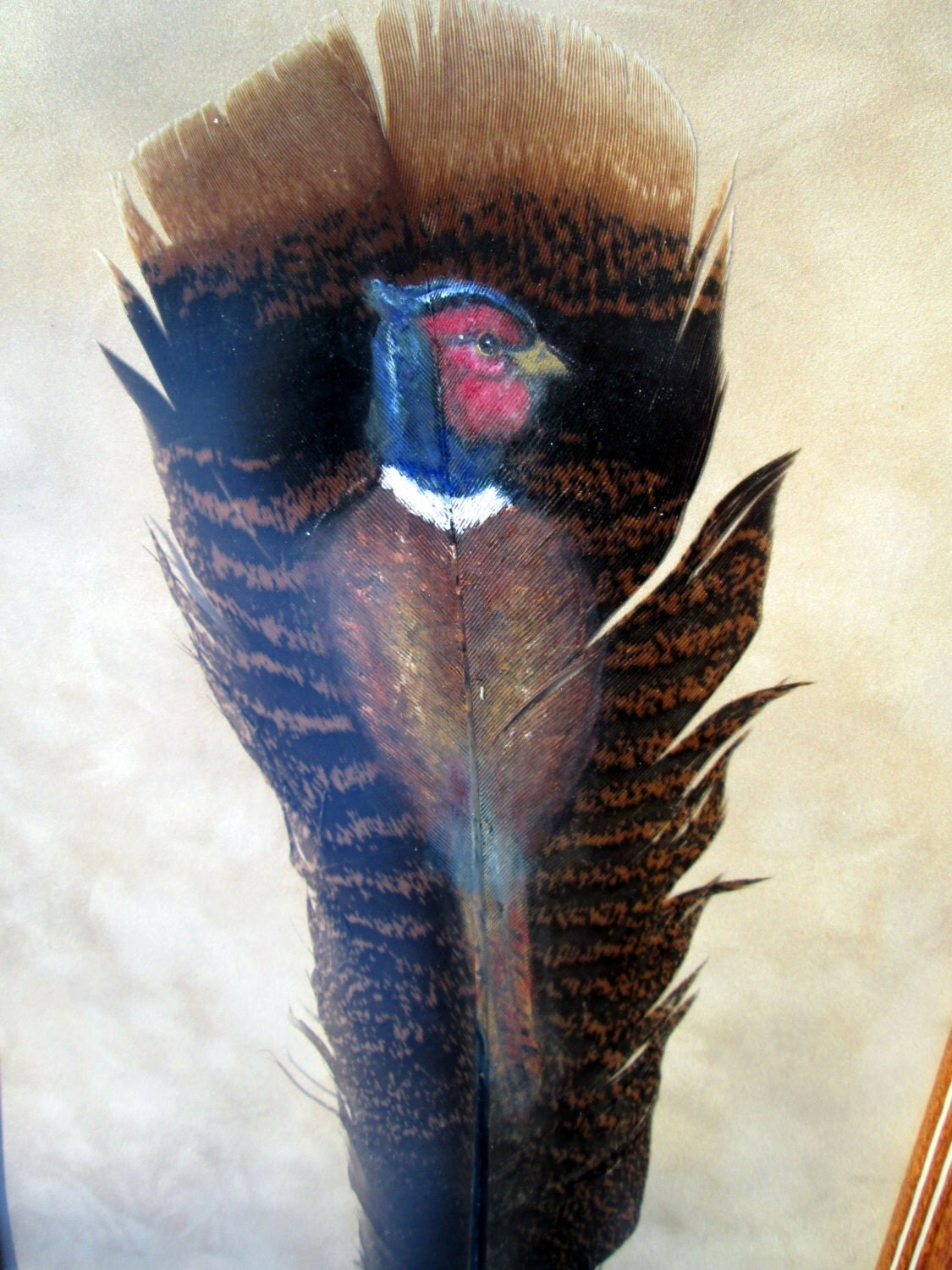 Vintage Framed Turkey Feather Painting of a Pheasant Bird