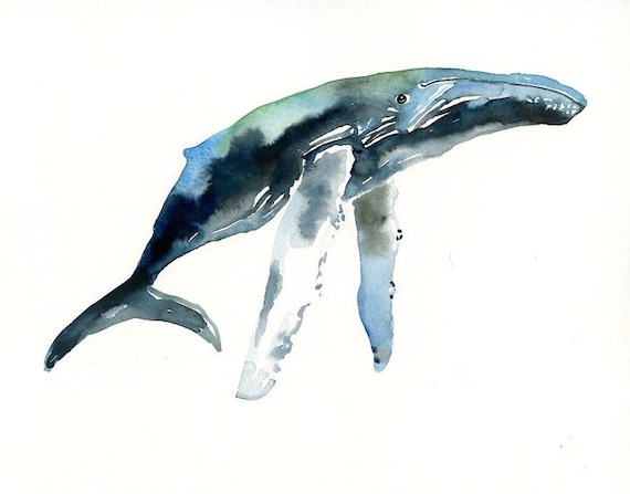 HUMPBACK WHALE Original watercolor painting 10X8inch