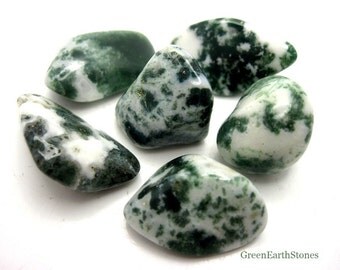 Tree Agate Tumbled Stone, Rock Hound, Crystal Healing, Stones, Feng Shui, Reiki, Grids, Crystal Supplies, Crystal Jewelry, Meditation