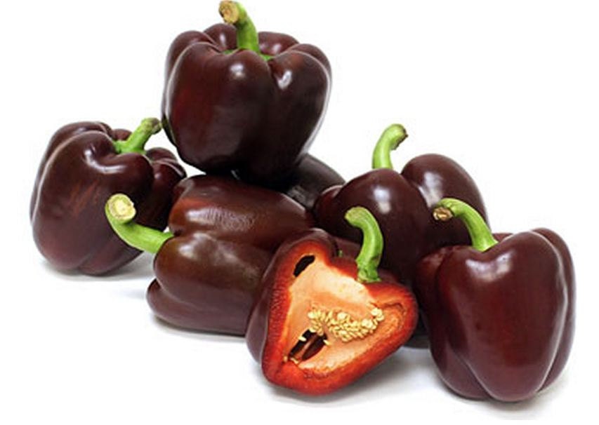 Pepper Miniature Chocolate Pepper Seeds Short Stocky Sweet