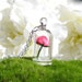 Bright Pink Rose in a Bell Jar Terrarium Necklace / Pendant