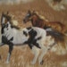 Horse Running in the Grasses with Brown Couch Throw Blanket