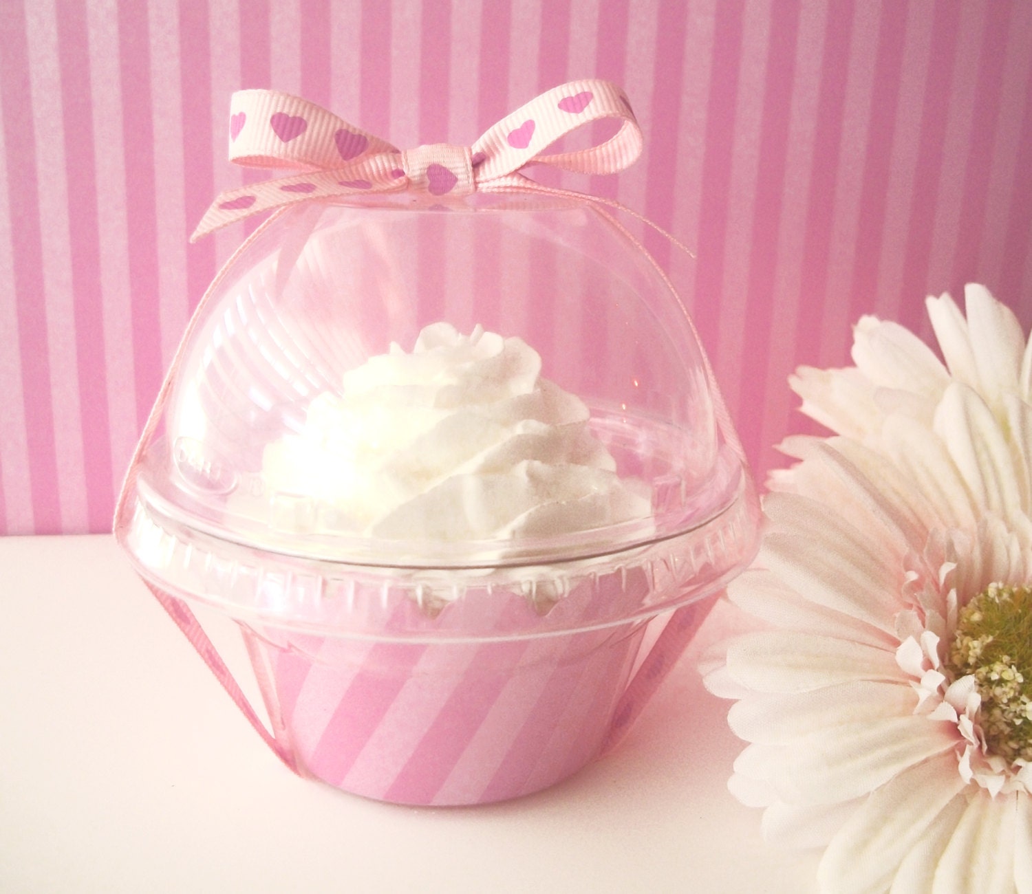 24 Cupcake Boxes Tall Lids Clear Plastic Favor Containers