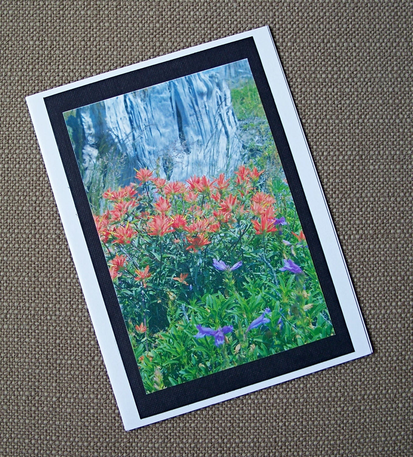 Blank Note Card Wild Flowers Nature Photo Card by MiscKDesigns