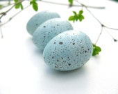Robin eggs, bird eggs, for fresh decor - season2season