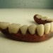Antique Dentures Vulcanite mid 1800s False Teeth Oddity Curiosity Dental