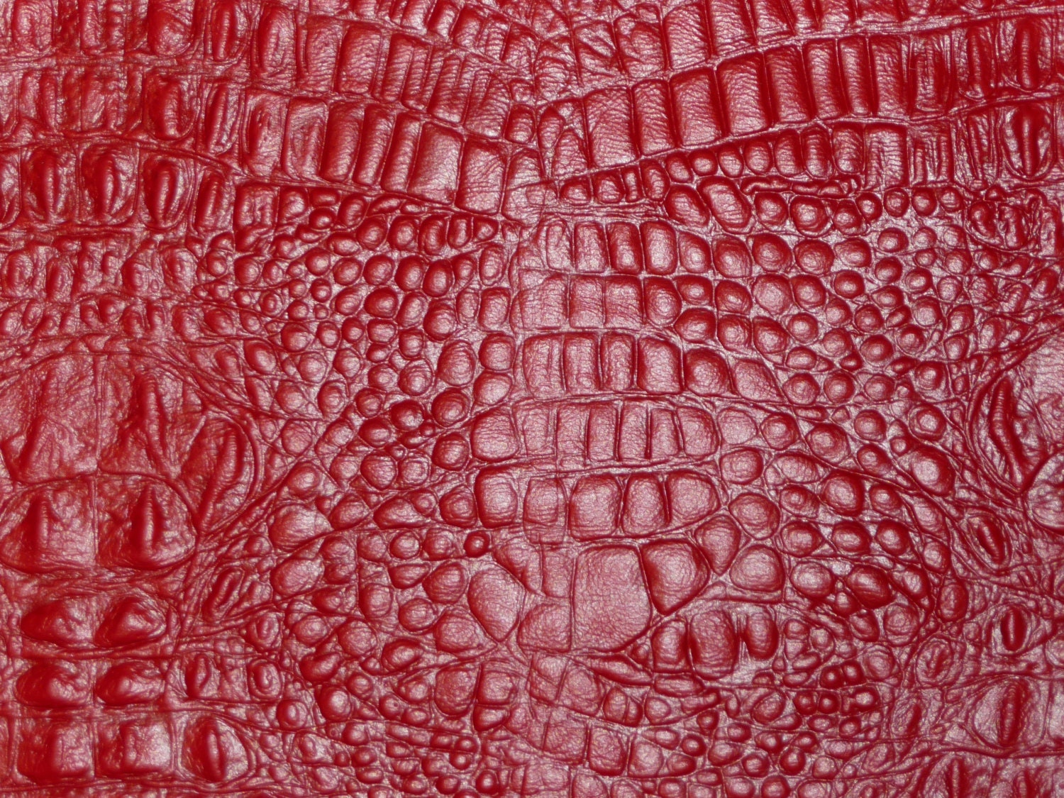 Leather 12x12 CLOSEOUT Red ALLIGATOR / Crocodile