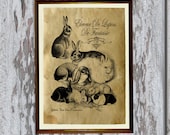 French rabbits print Old paper Antiqued decoration vintage looking 8.3 x 11.7 inches