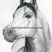 Reserved Set of four horse prints/ pinto, black horse, arabian stallion, mustang 2.5x3.5 earthspalette