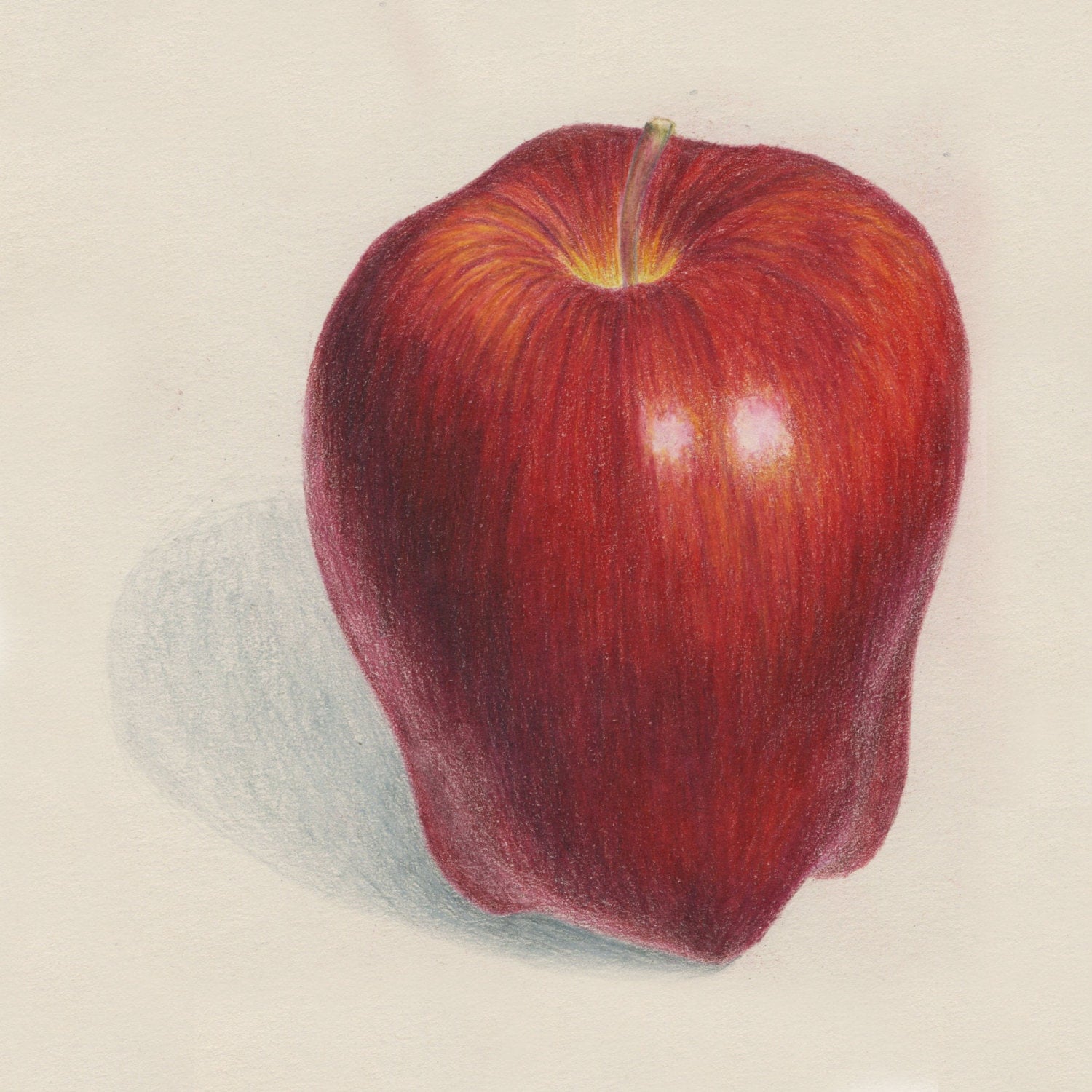apple sketch
