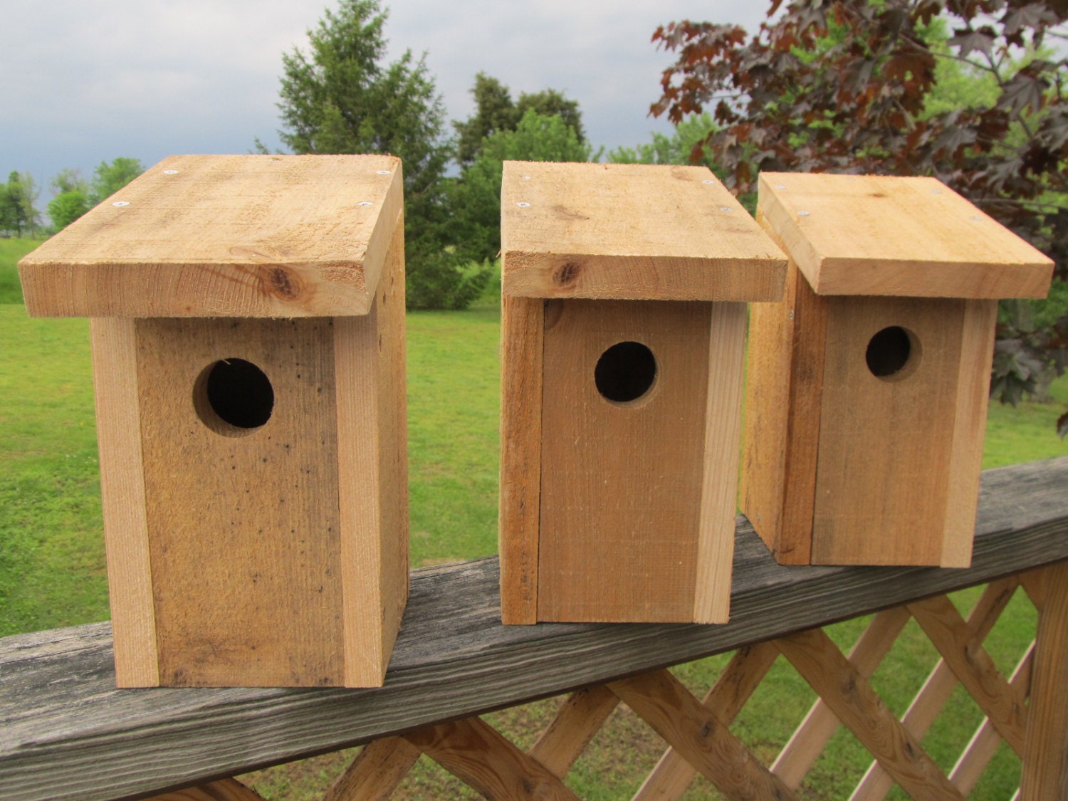 bluebird house cypress wood bluebird house cypress wood