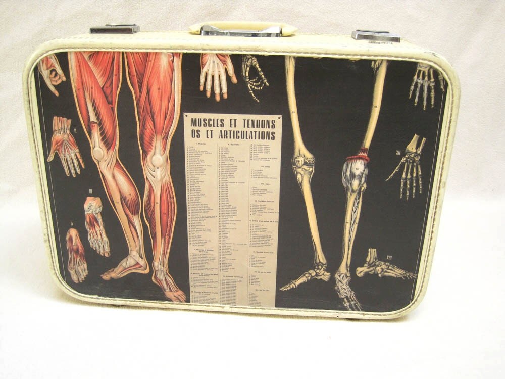 upcycled vintage suitcase french anatomy by space24retro on Etsy