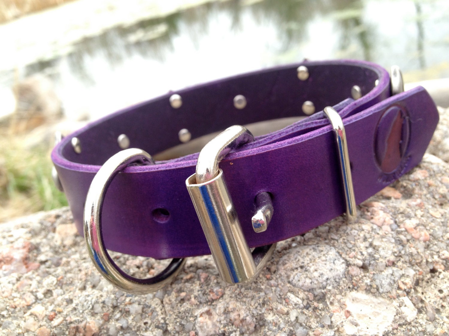 Purple Leather Dog Collar
 Cool custom purple leather dog collar 1 with silver by kerinwolfe