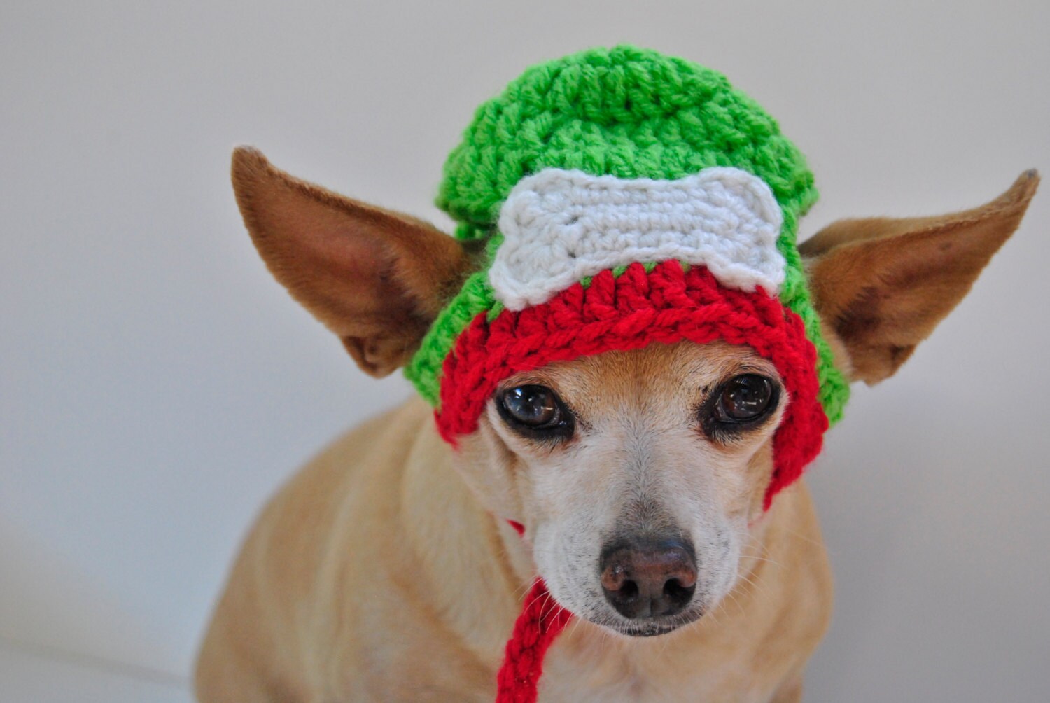 Bone Dog Hat Pet Hat Dog Beanie Photo by CCCreativeCreations