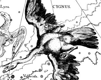 Zodiac prints, Star map, Constellation print, Constellation of the Cygnus, 81