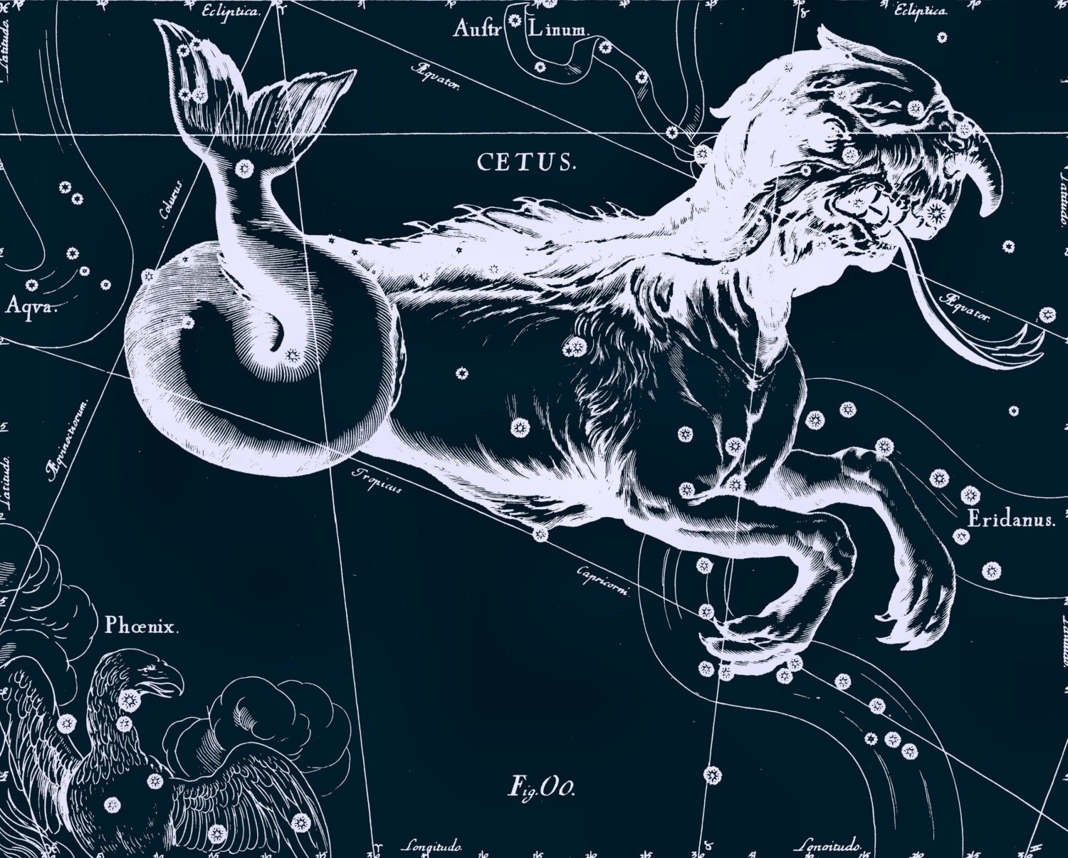 Astronomie Sternbild Walfisch Glob Mond Sterne Astrologie Astronomie Sternbild Walfisch Glob Mond Sterne Astrologie