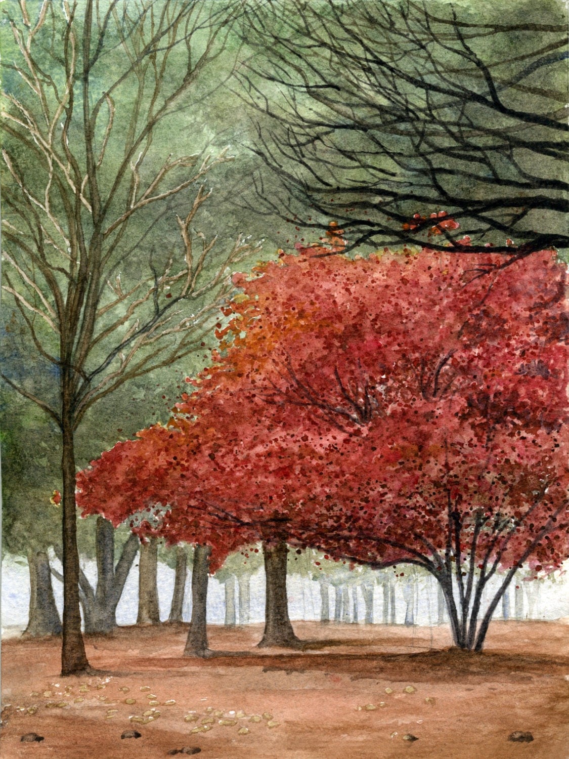 Watercolor Painting Art PRINT Autumn Tree 8 X   Il Fullxfull.413914210 1c4a 