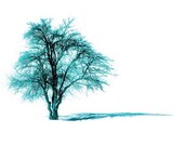 Tree photography, Turquoise tree, Nature photography, Alone tree, fine art photography,  wall art, home decor, colour, 8''x8''inch. Tree photography, Turquoise tree, Nature photography, Alone tree, fine art photography,  wall art, home decor, colour, 8''x8''inch.