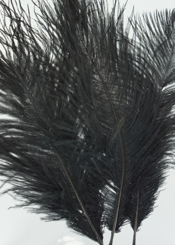 BLACK 12 inch ostrich feathers 3 pieces