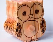 Custom Made to order Cute Handmade Owl Jewelry Box / Owl Trinket Box with Leather interior and owl pendant / owl charm / Owl Woodburn