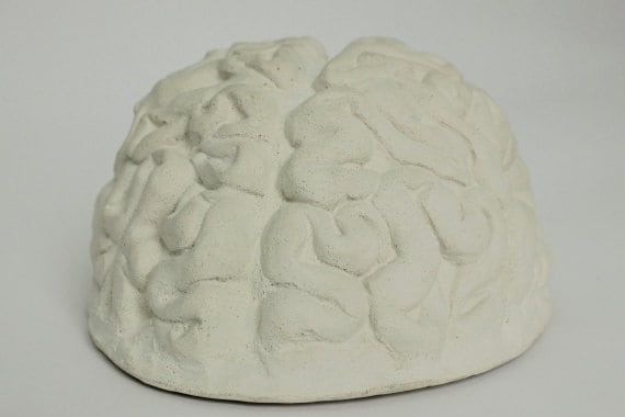 Items similar to White Concrete Brain on Etsy