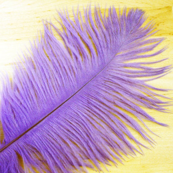 10pcs Real Natural Dye Purple Lavender ostrich by