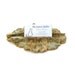 Clay Business Card or Recipe Card Holder - Made with a Real Geranium Leaf - Holds up to 50 cards