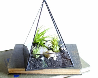 Air Plant Terrarium, Glass Pyramid Terrarium Planter. Terrarium Kit, Glass Terrarium. Geometric Terrarium,