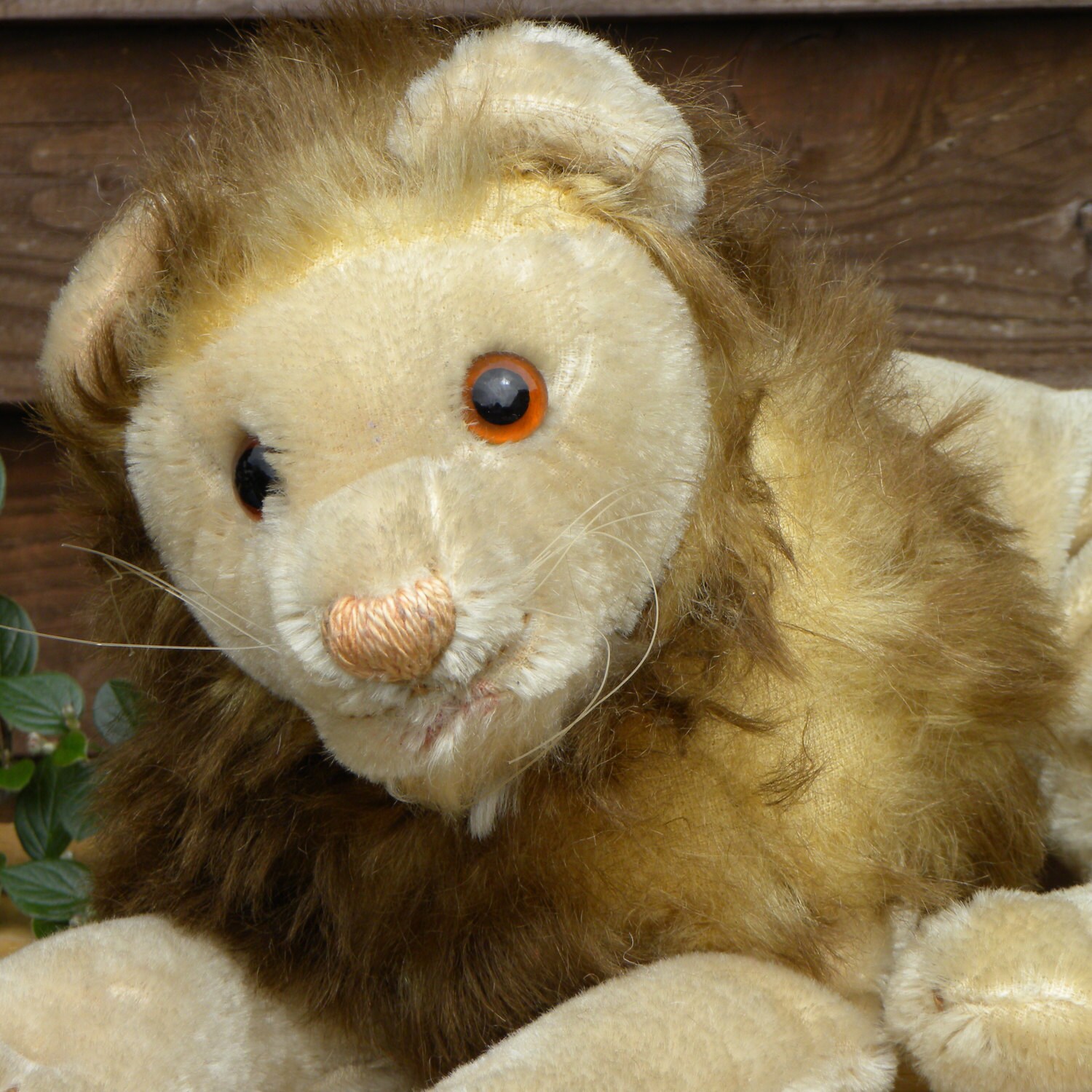 steiff lion cub