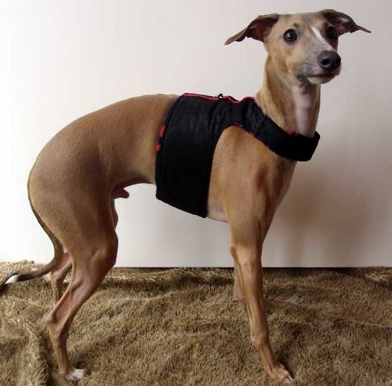 Italian Greyhounds Soft Harness in Soft Ultrasuede with
