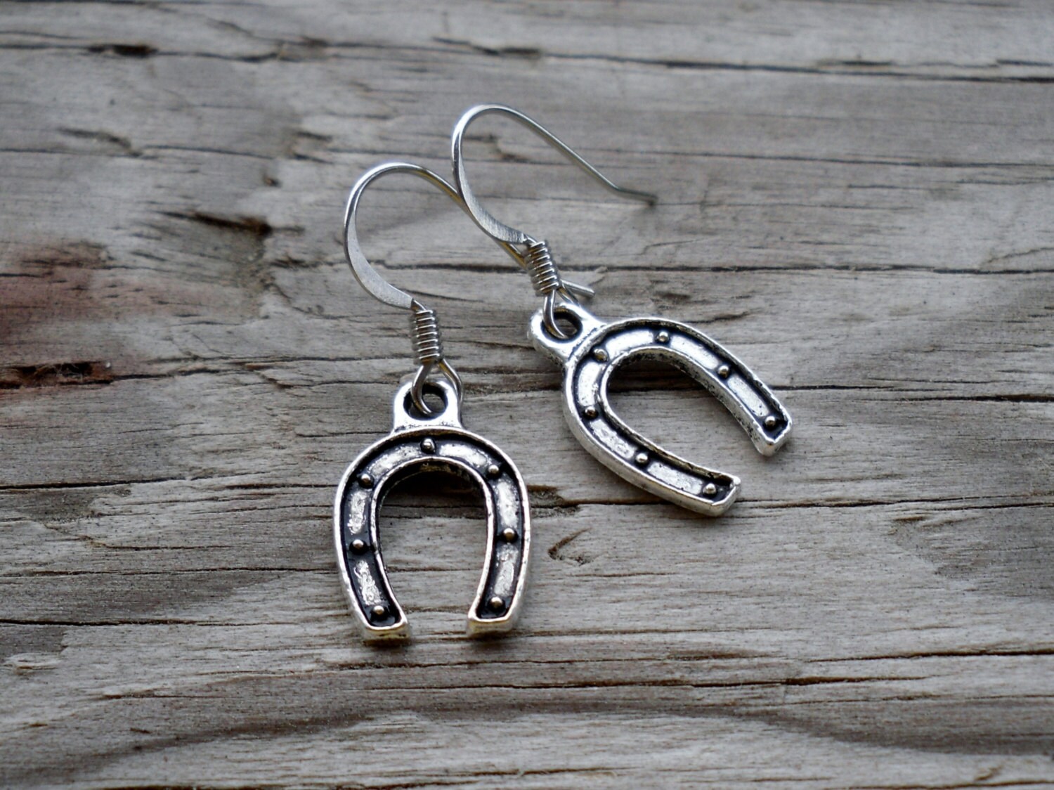 Horseshoe Charm Earrings