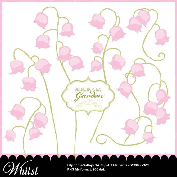 Digital, flower clip art, clipart, lily of the valley digital clipart : c0258 v301 Il_570xn
