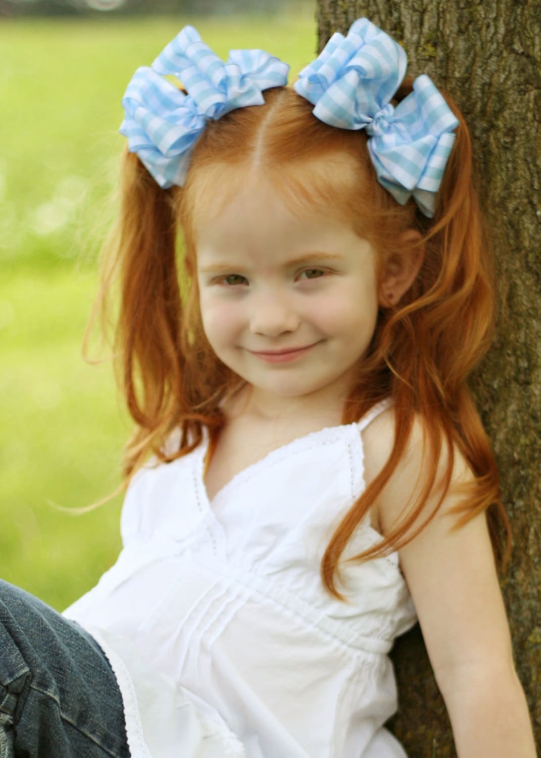 Dorothy Hair Bows Blue Gingham Plaid Pigtails Picnic Check