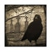 Gothic Decor, Graveyard Raven, Halloween Art, Vintage Sepia, Collage Crow Art, Silver Halide Print, Dark Blackbird - Eerie Crow