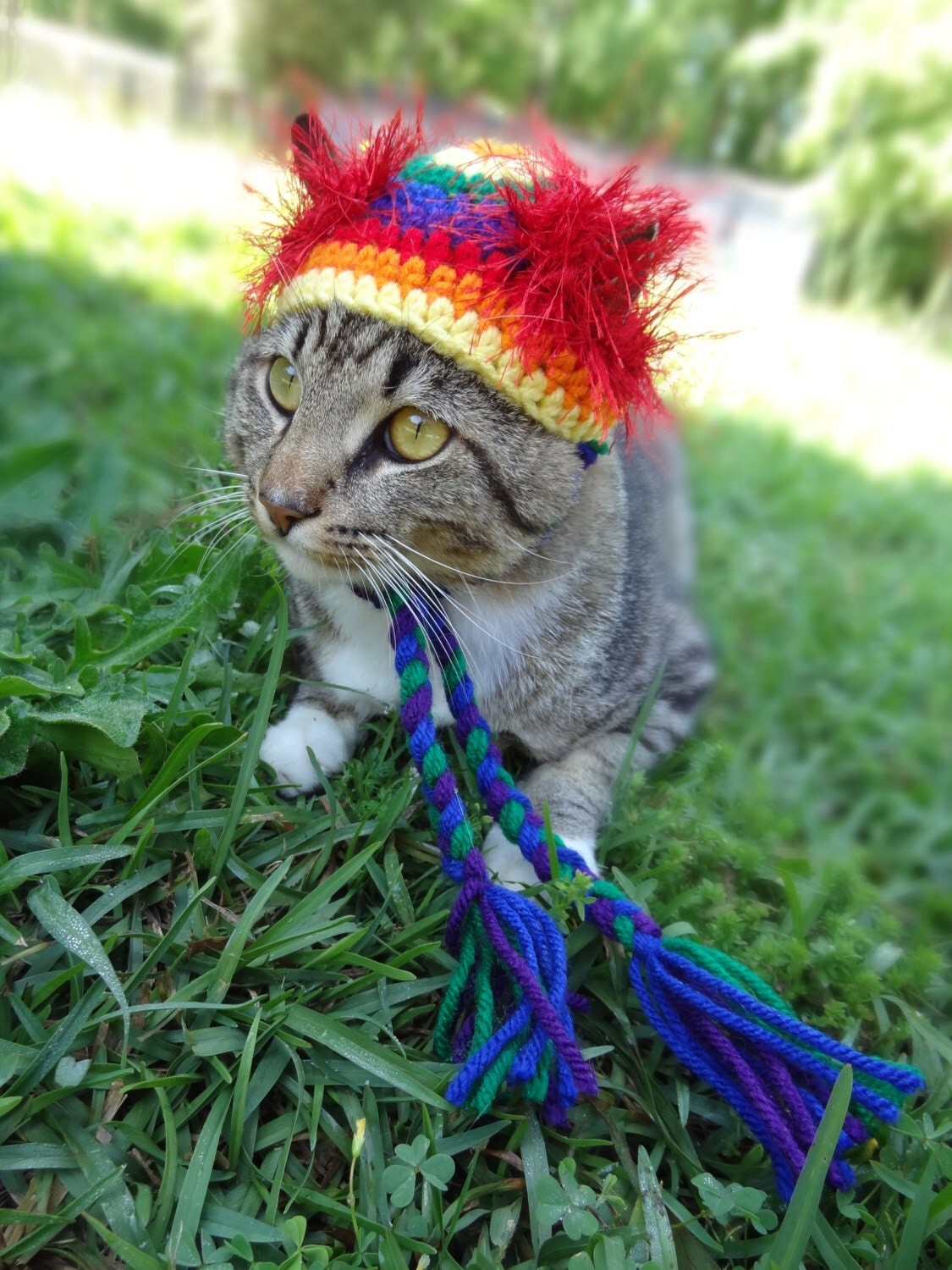 Hat for Cats Cat Hat Cat Costume Costume for Cats Pride