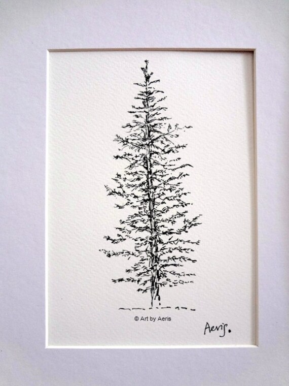 Evergreen Pine Tree Art Spruce Tree Forest Woodland