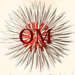 OBJECTS of MATTER