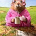 Karen Creveston