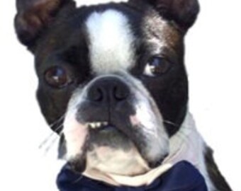 Formal Wedding Dog or Cat Bow Tie All Sizes