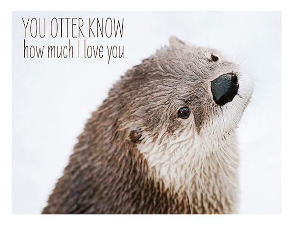 Valentine Card You Otter Know Nature Photography