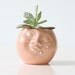 Vintage Moon Face Planter in Pink 1951