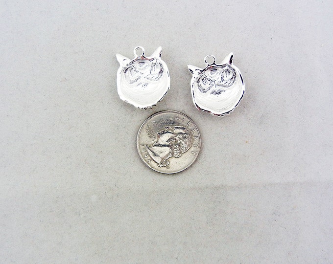 Pair of Silver-tone Owl Head Charms