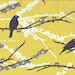 Custom Listing for sewveryhip: Joel Dewberry Aviary 2 - Sparrows JD41 Vintage Yellow, 1.5 yards
