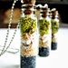 Terrarium Necklace / Specimen Jar / Miniature Vial Pendant / Hypoallergenic Sterling Silver Necklace / Organic Jewelry