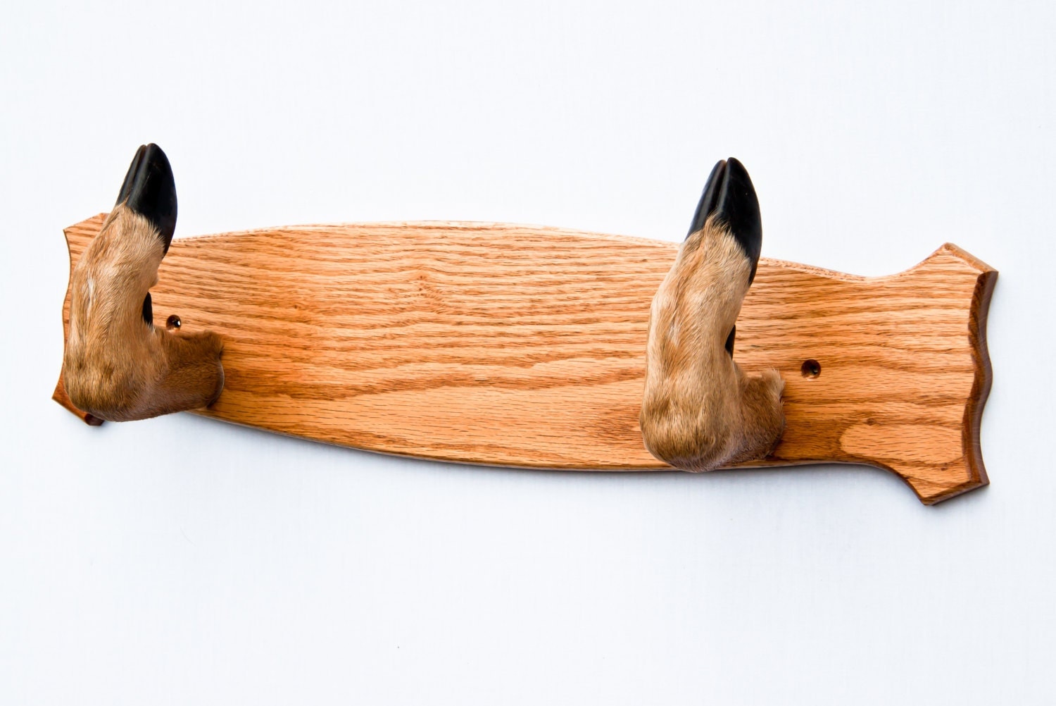 Taxidermy Deer Hoof Foot Feet Gun Rack on Beautifully Finished