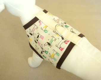 April Showers Dog Harness Vest