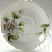 Roselyn White Saucer Dogwood Pattern- Dogwood flowers with gold trim- 1950s- Made in Japan